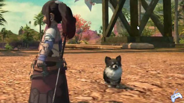 Cómo obtener Chewy the Pomeranian Dog Minion en Final Fantasy XIV
