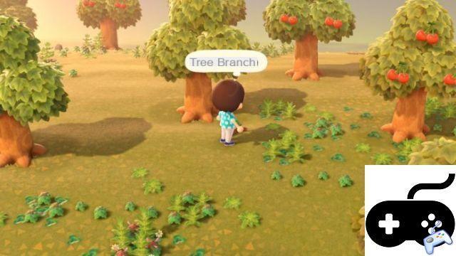 Animal Crossing: New Horizons - Cómo recoger objetos