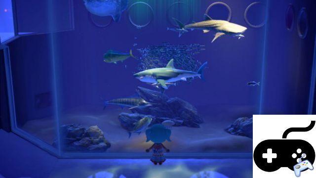 Animal Crossing: New Horizons - O que fazer com conchas e peixes