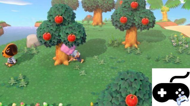 Animal Crossing: New Horizons – ¿Cuándo vuelven a crecer las frutas?