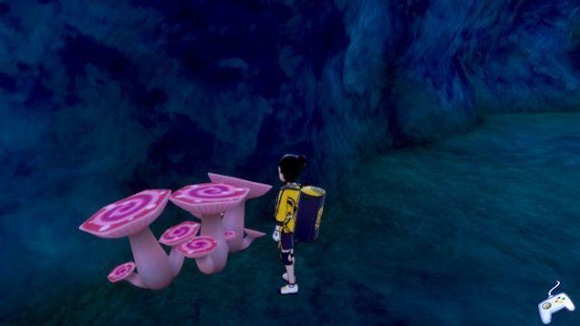 Pokémon Sword and Shield: Isle of Armor - ¿Dónde están los tres Max Mushrooms?