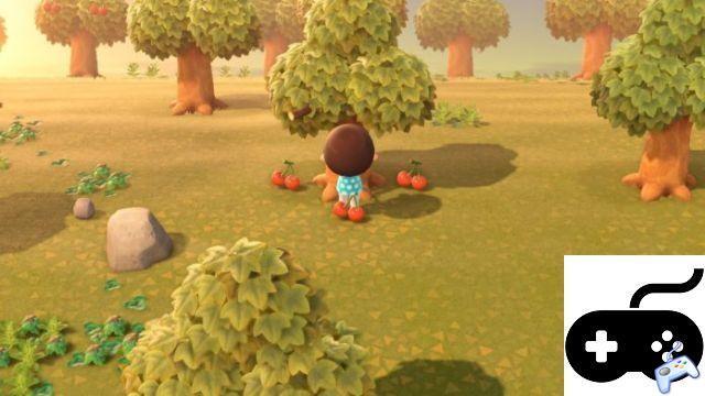 Animal Crossing: New Horizons – Cómo cambiar las frutas nativas en la isla