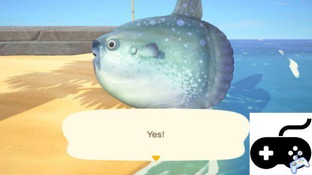Animal Crossing: New Horizons – ¿Qué pez puedo pescar ahora mismo?