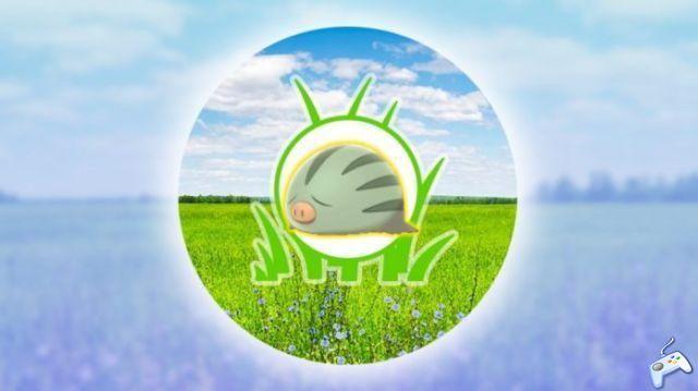 Pokémon GO - Swinub Spotlight Hour Guide, ¿Puede Swinub ser brillante?